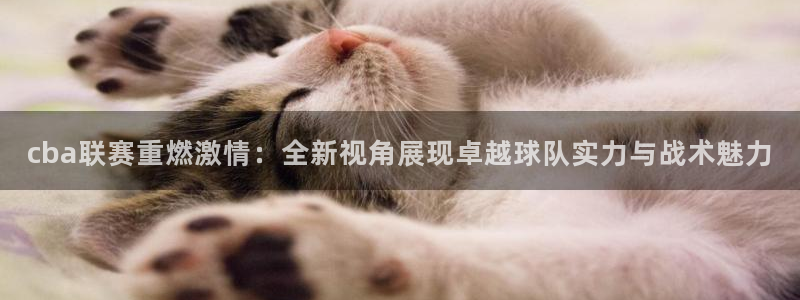 cba联赛重燃激情：全新视角展现卓越