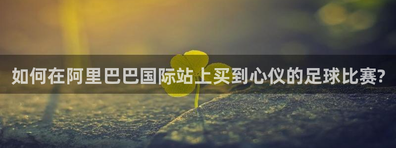  如何在阿里巴巴国际站上买到心仪的足球比赛?