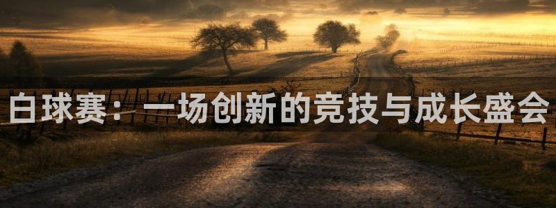 白球赛：一场创新的竞技与成长盛会