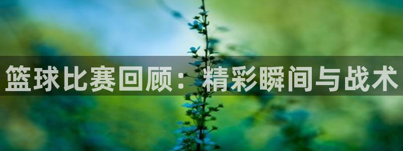 篮球比赛回顾：精彩瞬间与战术