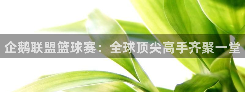 企鹅联盟篮球赛：全球顶尖高手齐聚一堂