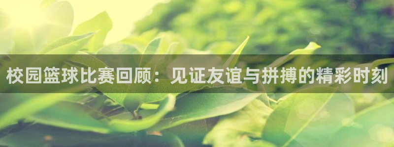 校园篮球比赛回顾：见证友谊与拼搏的精