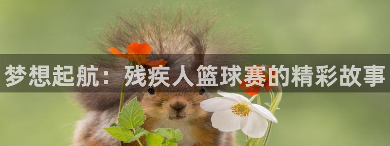 梦想起航：残疾人篮球赛的精彩故事