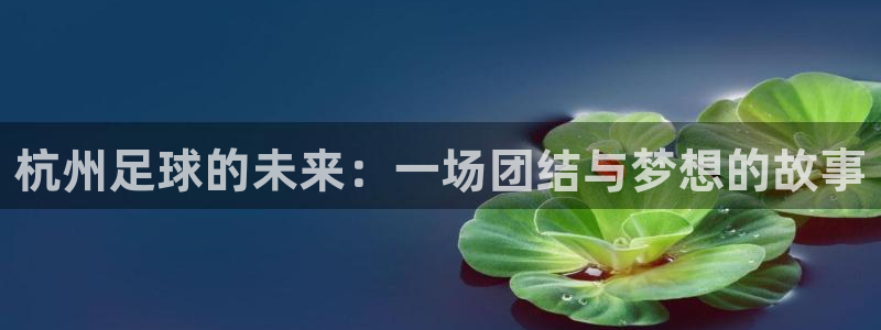 杭州足球的未来：一场团结与梦想的故事