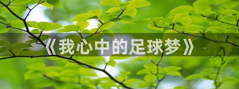 易游网游戏平台怎么样：《我心中的足球梦》