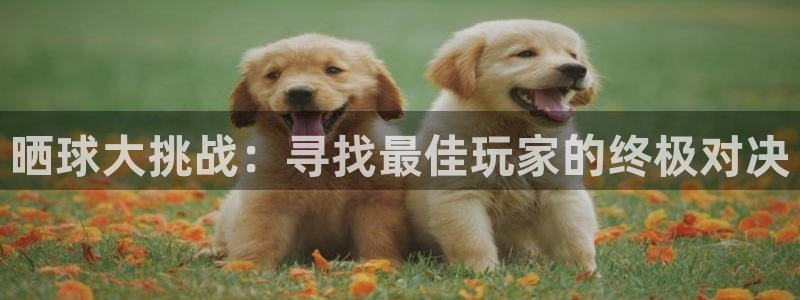 yy易游体育怎么样：晒球大挑战：寻找最佳玩家的终极对决