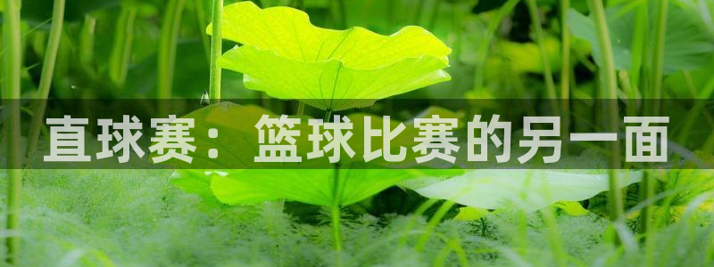 易游网官网平台：直球赛：篮球比赛的另