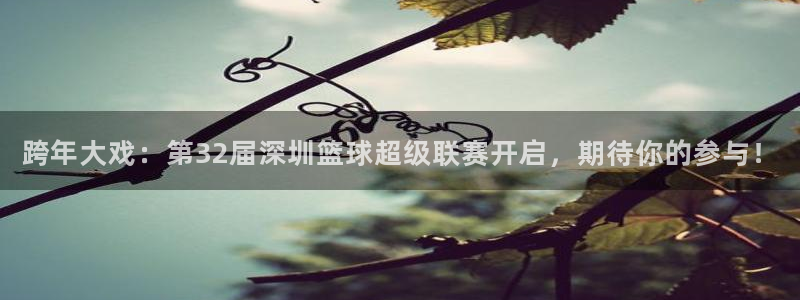 易游是干嘛的：跨年大戏：第32届深圳篮球超级联赛开启，期待你