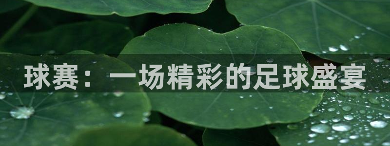 易游商城官网下载：球赛：一场精彩的足球盛宴