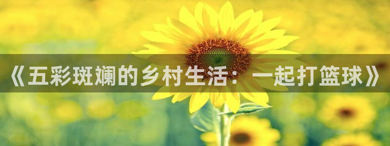 怪兽易游app官方下载：《五彩斑斓的乡村生活：一起打篮球》