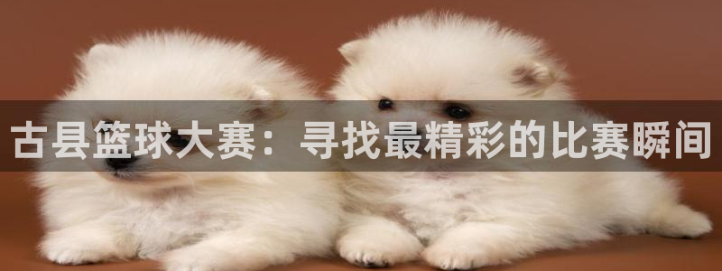 熊猫易游app官方下载：古县篮球大赛：寻找最精彩的比赛瞬间