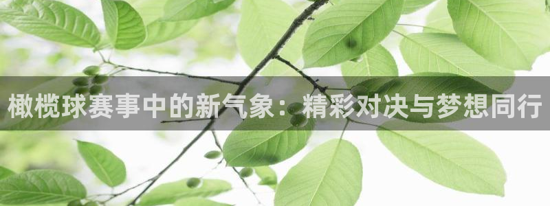  易游官网app下载：橄榄球赛事中的新气象：精彩对决与梦想同行