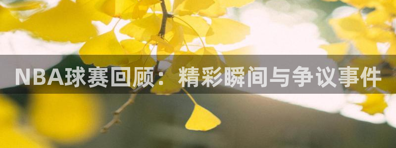 易游论坛：NBA球赛回顾：精彩瞬间与