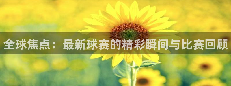  易游平台登录入口：全球焦点：最新球赛的精彩瞬间与比赛回顾