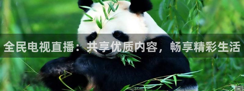火凤直播体育官网：全民电视直播：共享优质内容，畅享精彩生活