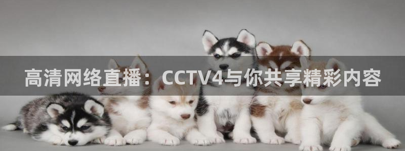 火凤直播体育直播：高清网络直播：CCTV4与你共享精彩内容