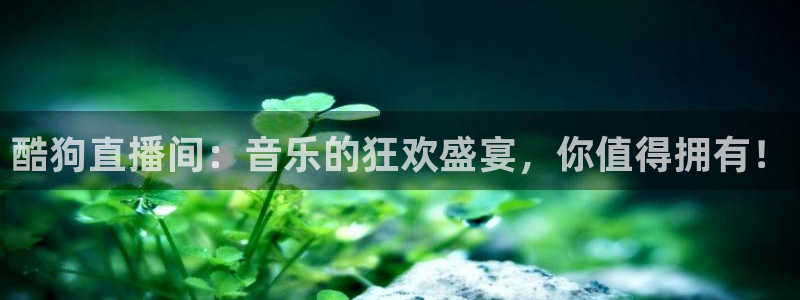 火凤直播体育官网：酷狗直播间：音乐的狂欢盛宴，你值得拥有！