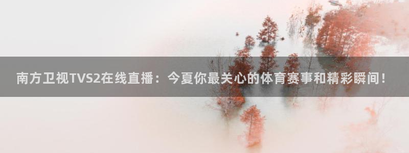 火凤体育nba直播：南方卫视TVS2在线直播：今夏你最关心的体育赛事和精彩瞬间！