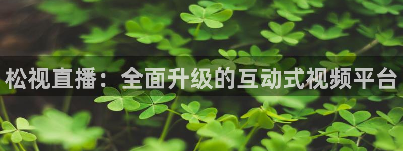 火凤直播体育官网：松视直播：全面升级的互动式视频平台